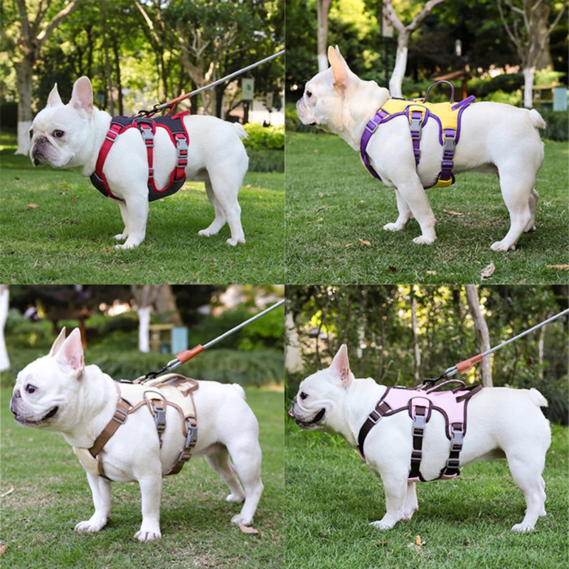 Coleira Peitoral para Cachorros Refletiva e Ajustável em 6 Pontos
