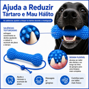 Mordedor Dental Interativo 2 em 1 Limpeza dos Dentes, Massagem na Gengiva e Diversão
