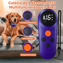 Coleira de Adestramento Canino com Controle Remoto 3 em 1 – Som, Vibração e Estímulo Ajustável, IP67 e Alcance de até 500 m