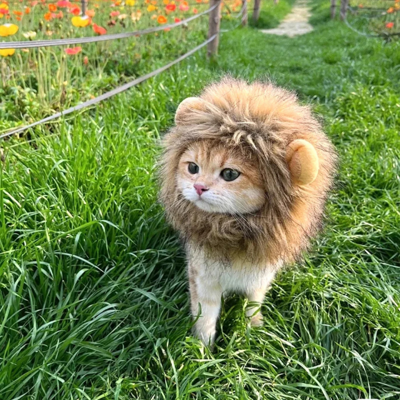 Juba de Leão Peruca Fantasia para Gato