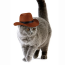 Chapéu Fantasia Cowboy para Cachorros e Gatos