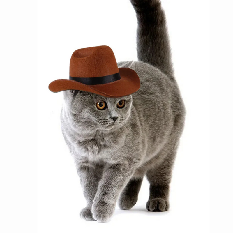 Chapéu Fantasia Cowboy para Cachorros e Gatos