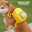 Mochila Pet com Argola e Guia para Passeios Coleira Mochila Multifuncional