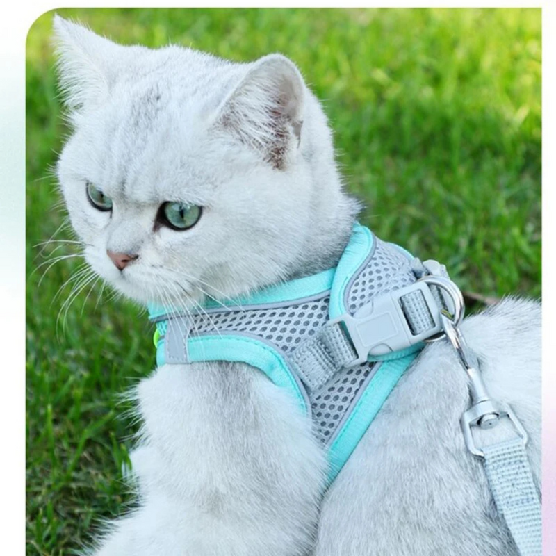 Coleira Peitoral com Guia para Gatos