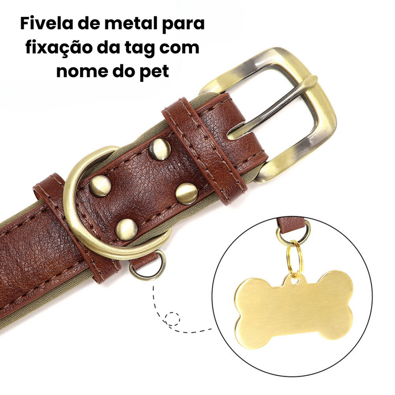 Coleira Colar de Identificação Personalizado com Nome Pet
