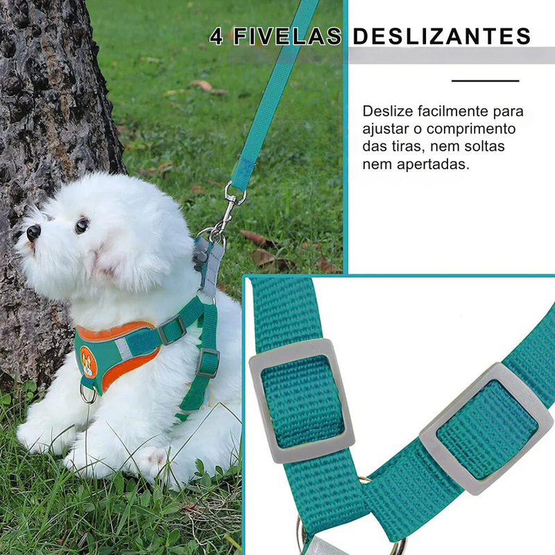 Conjunto Coleira Peitoral e Guia para Cachorros