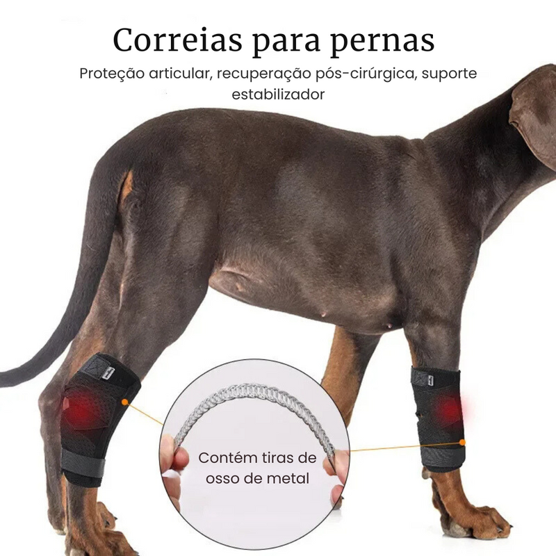Cinta Suporte para Articulação e Joelho de Cachorros com Dificuldade de Caminhar