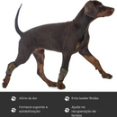 Cinta Suporte para Articulação e Joelho de Cachorros com Dificuldade de Caminhar