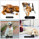 Cinta Elevatória Ajustável para Patas Traseiras Suporte de Reabilitação para Cães Idosos