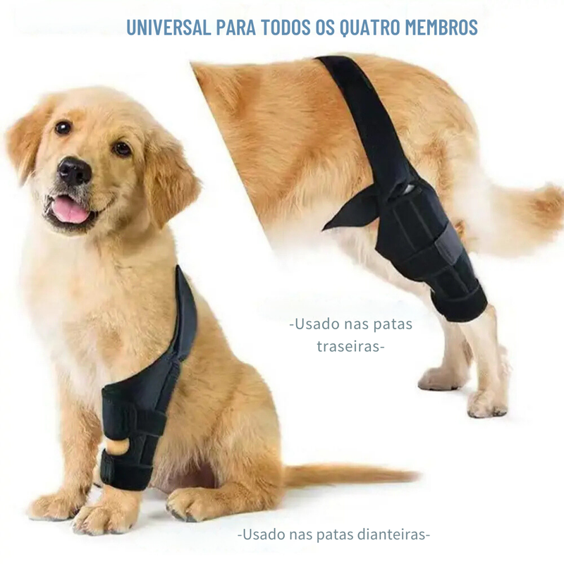 Joelheira Suporte Ortopédico para Cachorros com Lesões Dificuldade de Andar