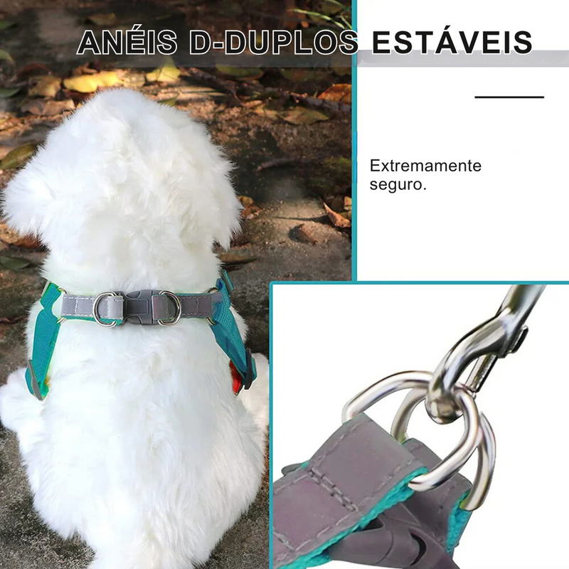 Conjunto Coleira Peitoral e Guia para Cachorros