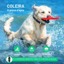 Coleira Colar de Treinamento Adestramento de Cães 4 Modos com Alcance de 1000 Metros