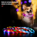 Coleira Led Brilhante Recarregável para Cachorros