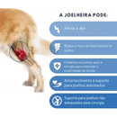 Joelheira Suporte Ortopédico para Cachorros com Lesões Dificuldade de Andar