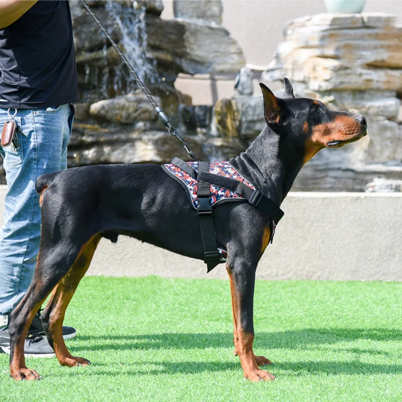 Coleira Peitoral Tática K9 Reforçada para Cães com Nome Personalizado