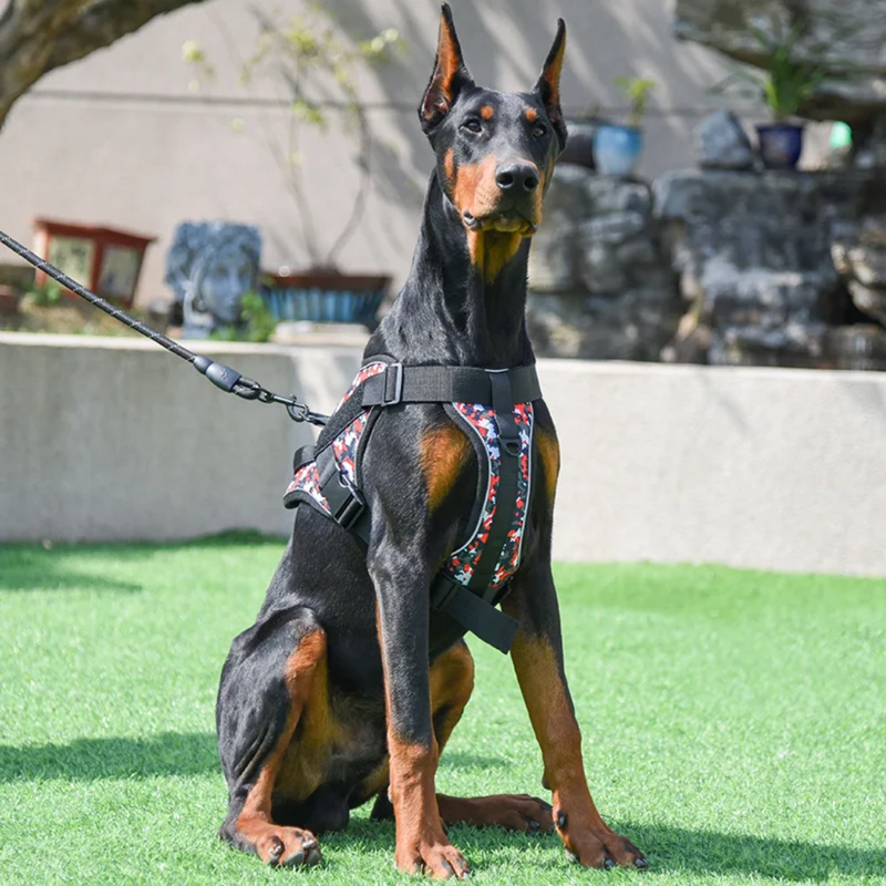 Coleira Peitoral Tática K9 Reforçada para Cães com Nome Personalizado