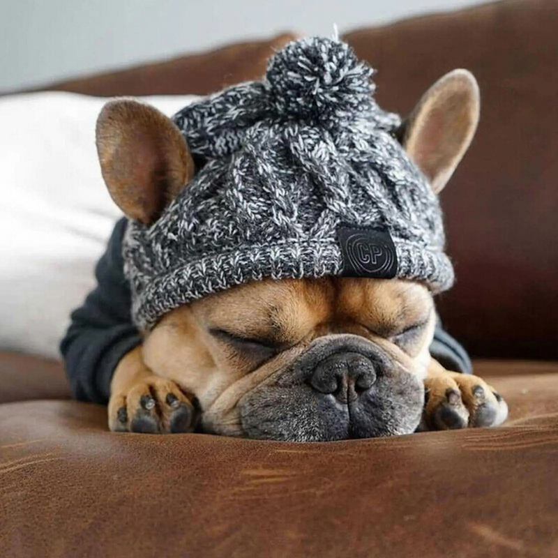 Gorro Chapéu Agasalho de Inverno Pet Capuz para Cachorros