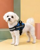 Peitoral Para Cachorros Ajustável com Nome Personalizável