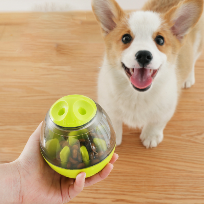 Brinquedo de Cachorro Ovo Dispenser de Ração e Petiscos