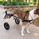 Cadeira de Rodas Ajustável para Cães – Suporte e Mobilidade para Patas Traseiras