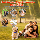 Coleira de Adestramento Canino com Controle Remoto 3 em 1 – Som, Vibração e Estímulo Ajustável, IP67 e Alcance de até 500 m