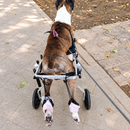Cadeira de Rodas Ajustável para Cães – Suporte e Mobilidade para Patas Traseiras
