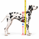 Cadeira de Rodas Ajustável para Cães – Suporte e Mobilidade para Patas Traseiras