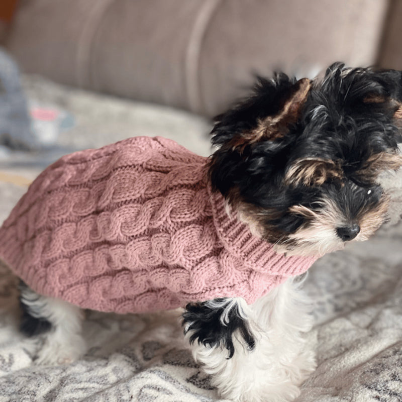 Roupinha Suéter de Lã para Cães